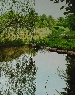 Siete Aguas II